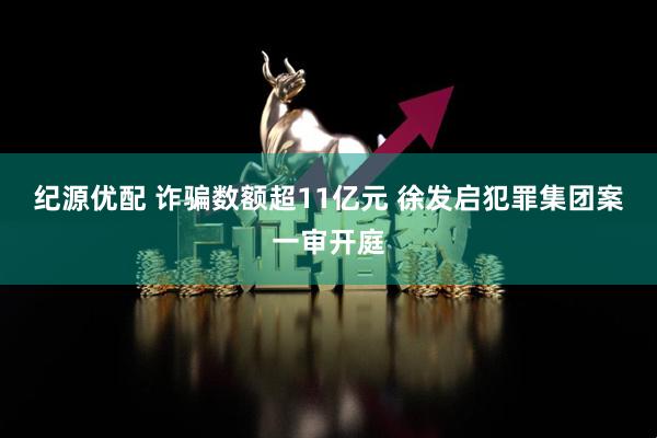 纪源优配 诈骗数额超11亿元 徐发启犯罪集团案一审开庭