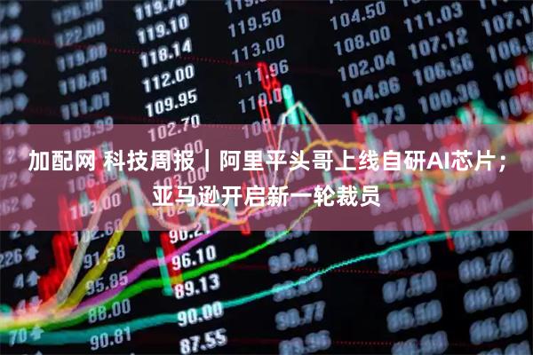 加配网 科技周报｜阿里平头哥上线自研AI芯片；亚马逊开启新一轮裁员