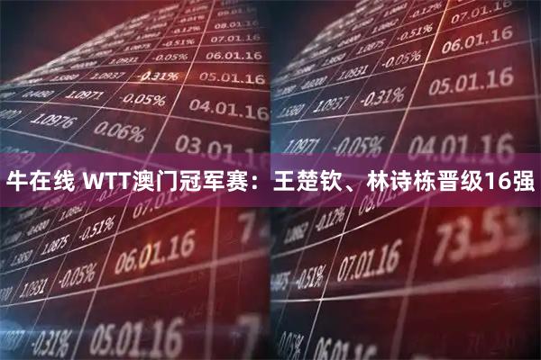 牛在线 WTT澳门冠军赛：王楚钦、林诗栋晋级16强