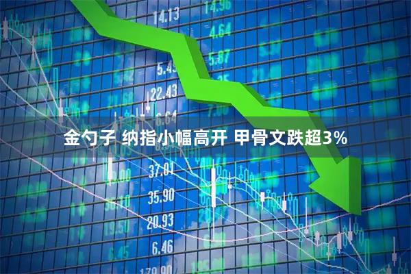金勺子 纳指小幅高开 甲骨文跌超3%