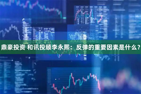 鼎豪投资 和讯投顾李永熙：反弹的重要因素是什么？